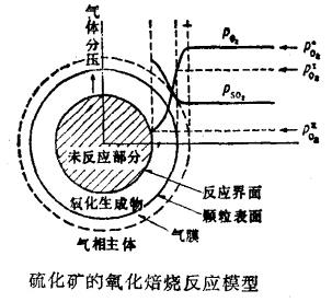 ���D(zhu��n)�G�򻯵V����ģ��